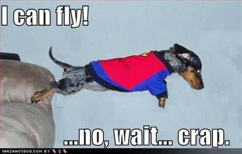 72450172e40c9e8e1315e51a9cc8d8bd