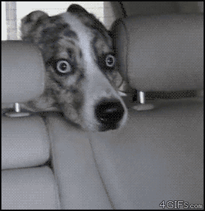 He's going to do what to my what?