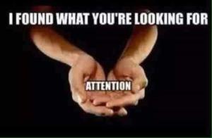 found-what-youre-looking-for