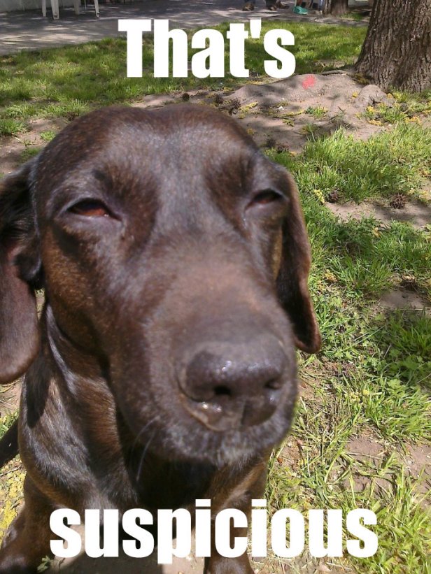 That+s+suspicious_2097b4_4336122