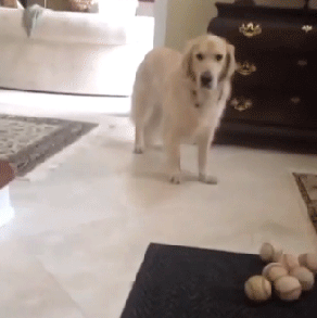 fa20a02da6555a08035cb2c87b3058be