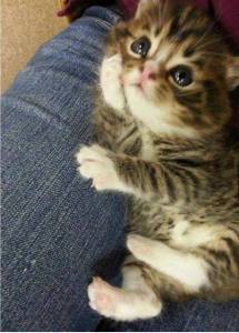 Please go on, I'm listening