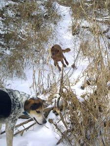 1689188_10152032553698778_1790008369_n