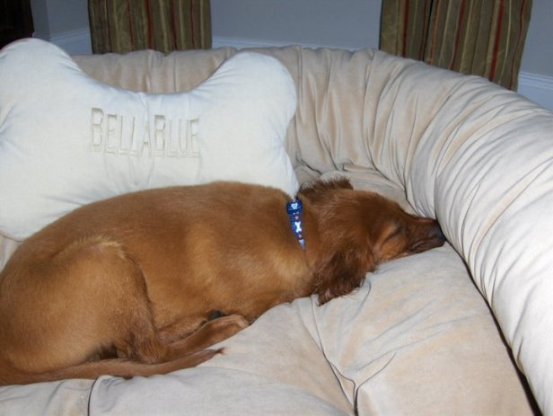 263419_10150244666548778_6766602_n