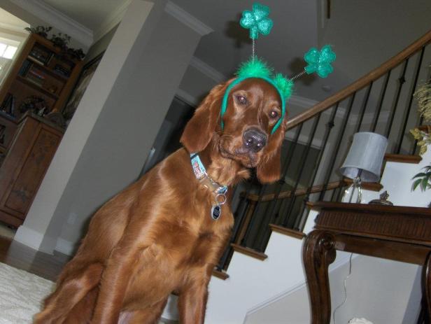 420225_10150639506648778_1301223423_n