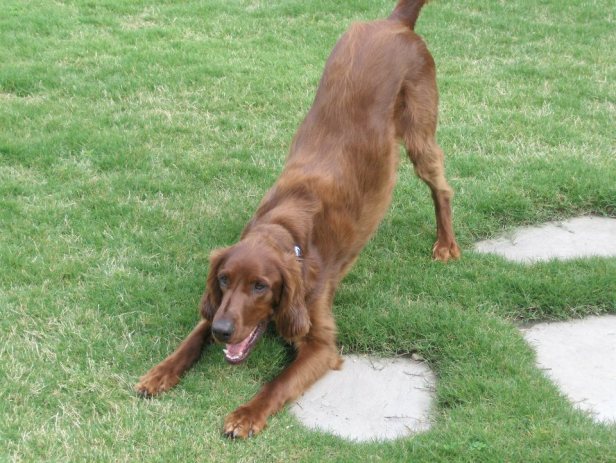 943296_10151483955228778_867229503_n