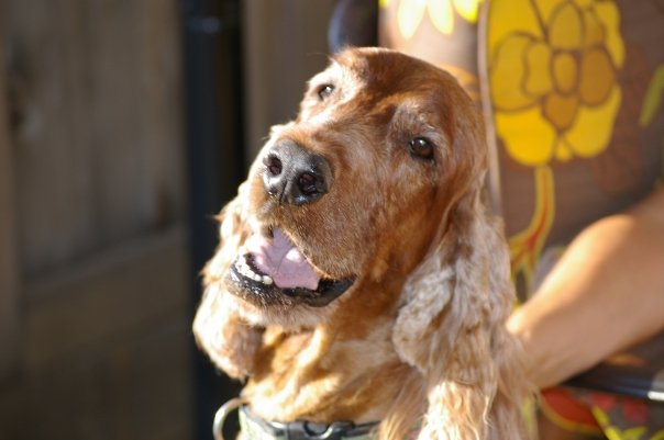 Conor Summer of 2009