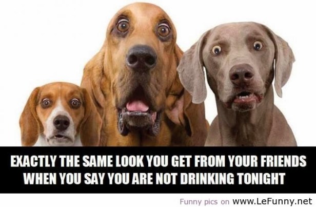 funny-quotes-about-drinking-alcohol-8