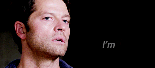 tumblr_inline_niwa0gP0YI1skb6gb